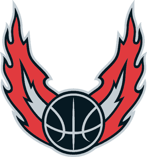 Portland Trail Blazers 2002-2006 Alternate Logo iron on heat transfer